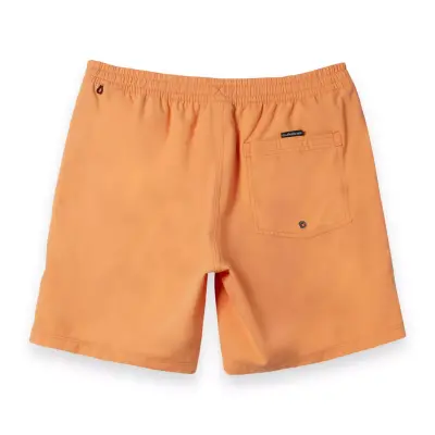 Quiksilver Aqyjv03153 Everyday Solid Volley 15 Kavuniçi Erkek Şort - 5