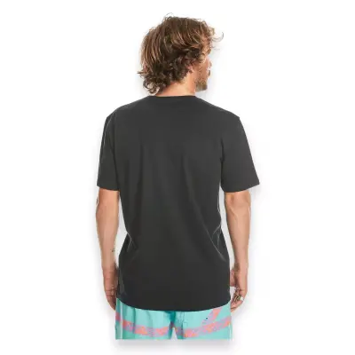 Quiksilver Eqyzt07657 Mw Mini Logo Ss Siyah Erkek T-Shirt - 2