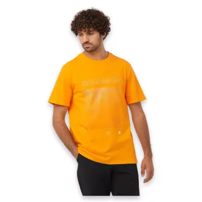 Salomon Lc2219200 Graphic Ss Tee M Turuncu Erkek T-Shirt 