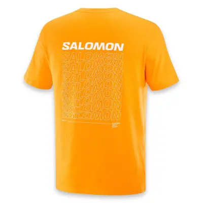 Salomon Lc2219400 Graphic Perf Ss Tee M Turuncu Erkek T-Shirt - 4