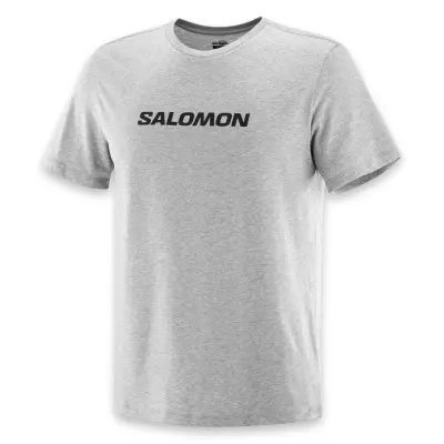 Salomon Lc2245400 Sal Logo Perf Ss Tee M Gri Erkek T-Shirt - 3